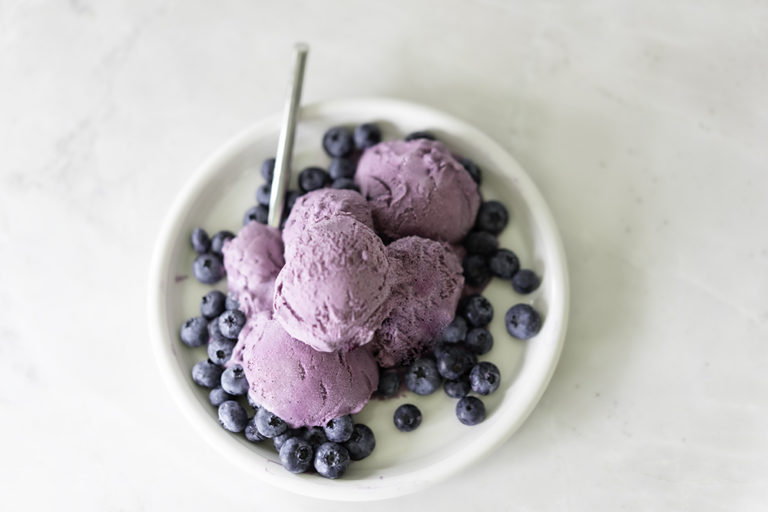 Homemade Blueberry Ice Cream | My Vegetarian Family