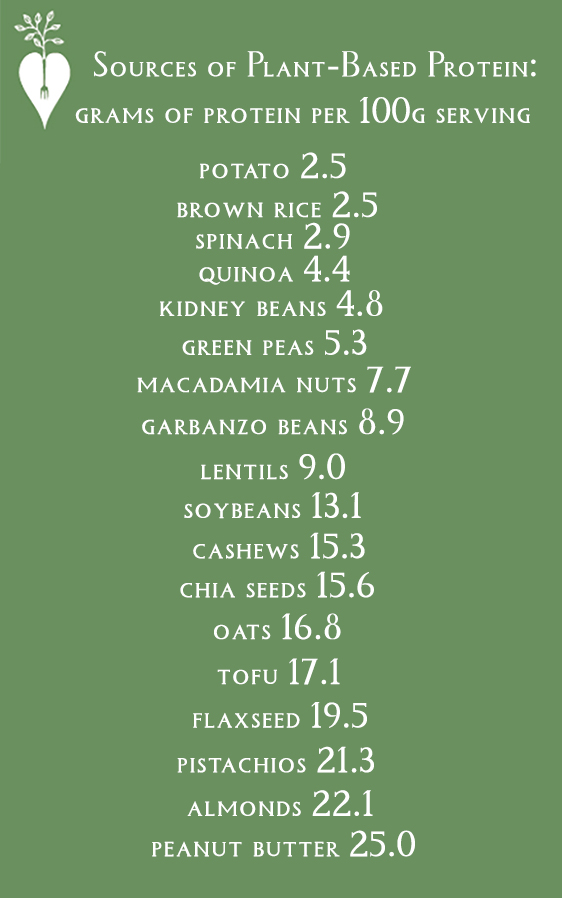 Sources of Plant Based Protein