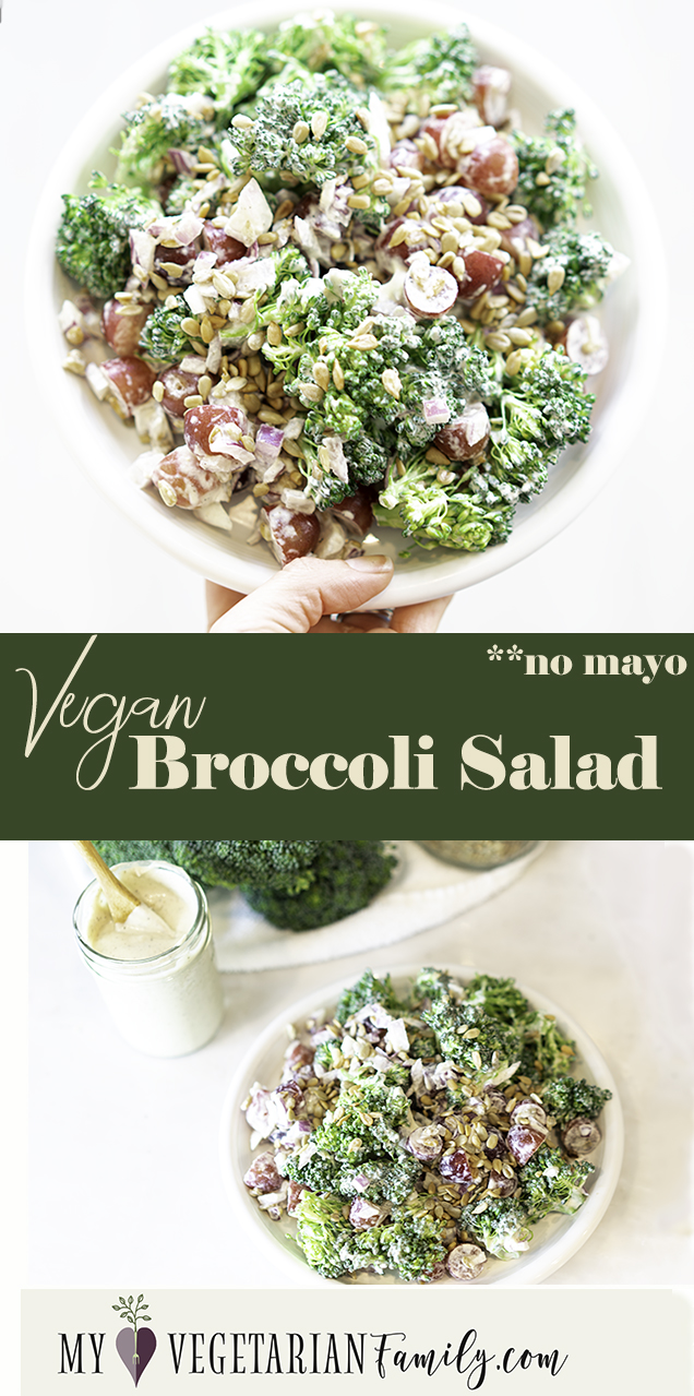 Vegan Broccoli Salad | No Mayo | My Vegetarian Family #noeggmayo #egglessmayo #veganbroccolisalad