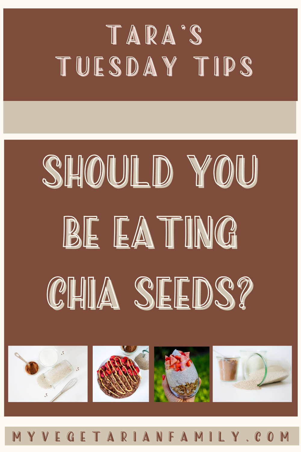 Should You Be Eating Chia Seeds | My Vegetarian Family #healthbenefitschiaseeds