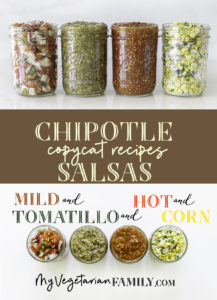 Chipotle Copycat Salsa Recipes | Mild, Medium, Hot, Corn!