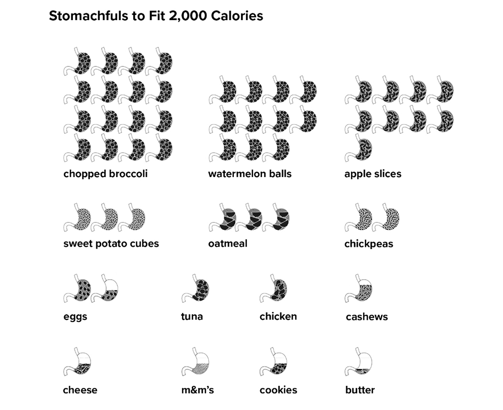 Calorie Density 101 Stomachfuls to Fit 2000 Calories from How Not to Diet | My Vegetarian Family #tarastuesdaytips #caloriedensity101 #eatmoreweighless