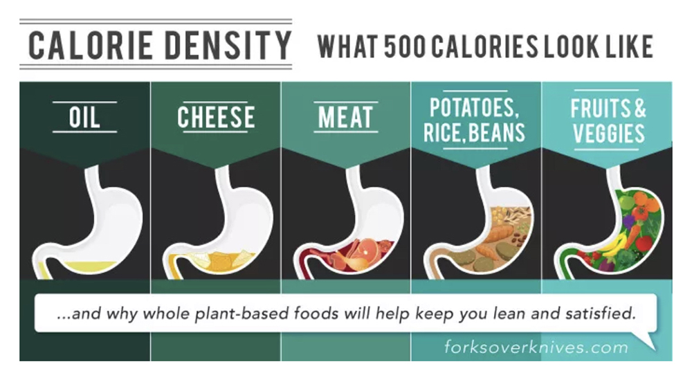 Calorie Density 101 What 500 Calories Looks Like | My Vegetarian Family #tarastuesdaytips #caloriedensity101 #eatmoreweighless