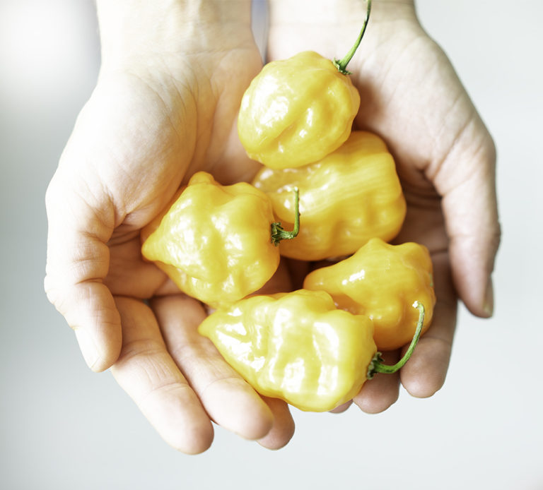 Habanero Jalapeño Hot Sauce Recipe My Vegetarian Family