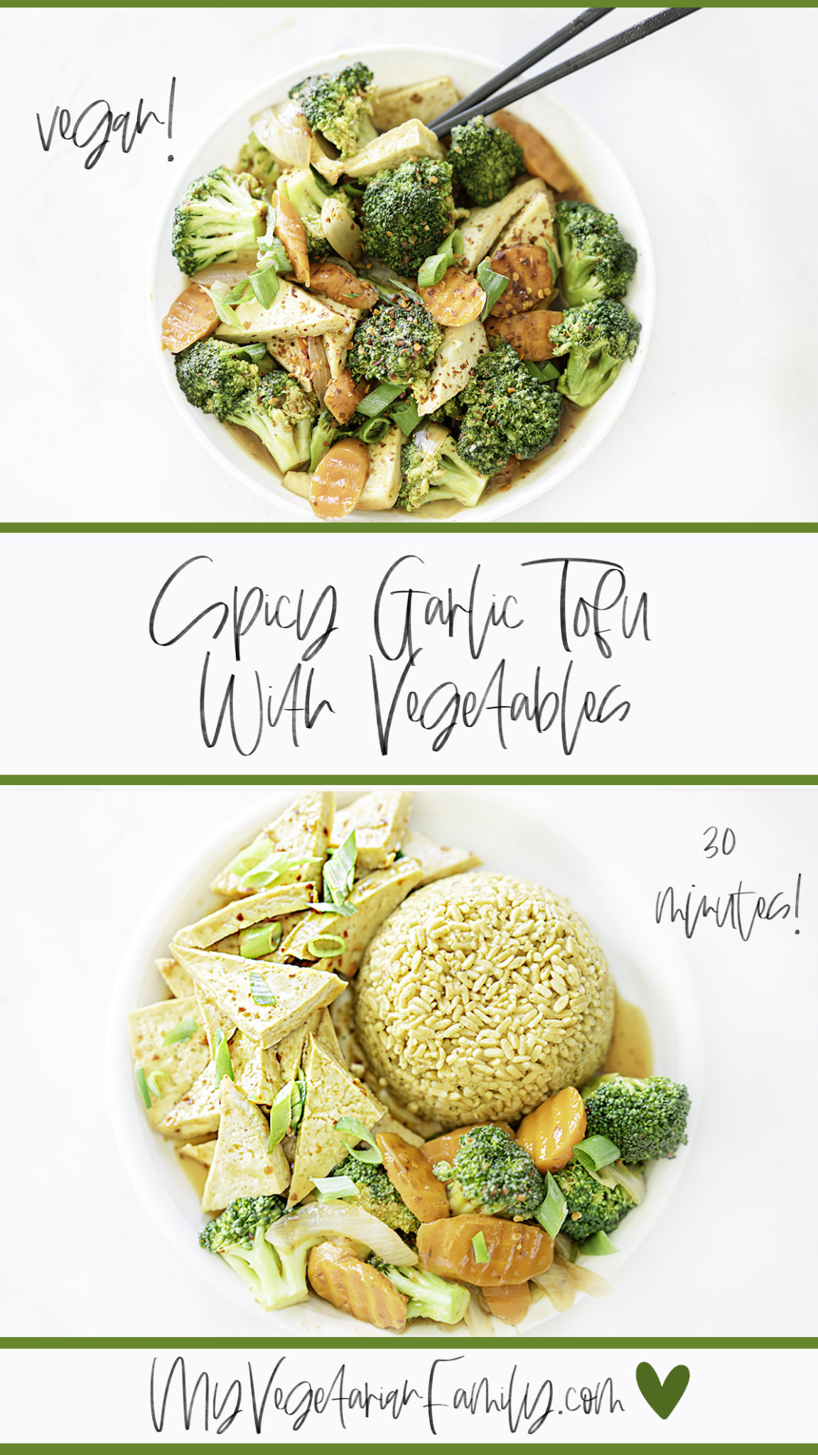 Spicy Garlic Tofu With Vegetables | My Vegetarian Family