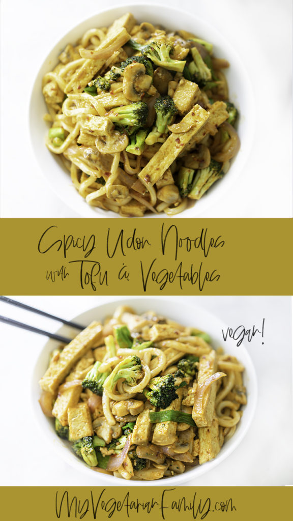 Spicy Udon Noodles with Tofu and Vegetables | My Vegetarian Family #spicyudonnoodles #veganudonnoodles #easyudonrecipe