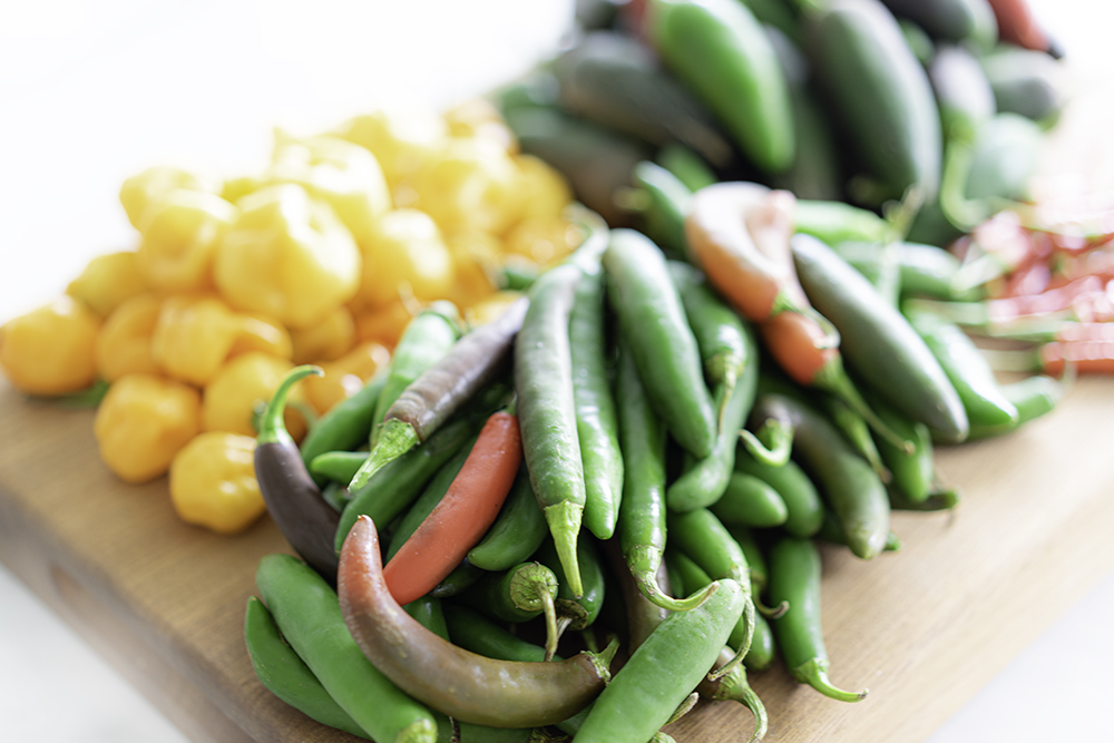 Garden Peppers for salsa | My Vegetarian Family #homemadesalsa