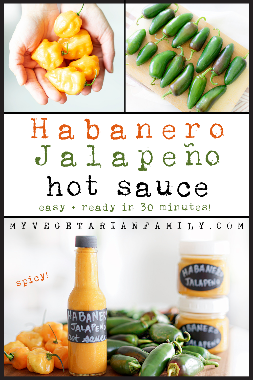 Habanero Jalapeno Hot Sauce Recipe | My Vegetarian Family #habanerojalapenohotsauce #homemadehotsauce #habanerojalapeno