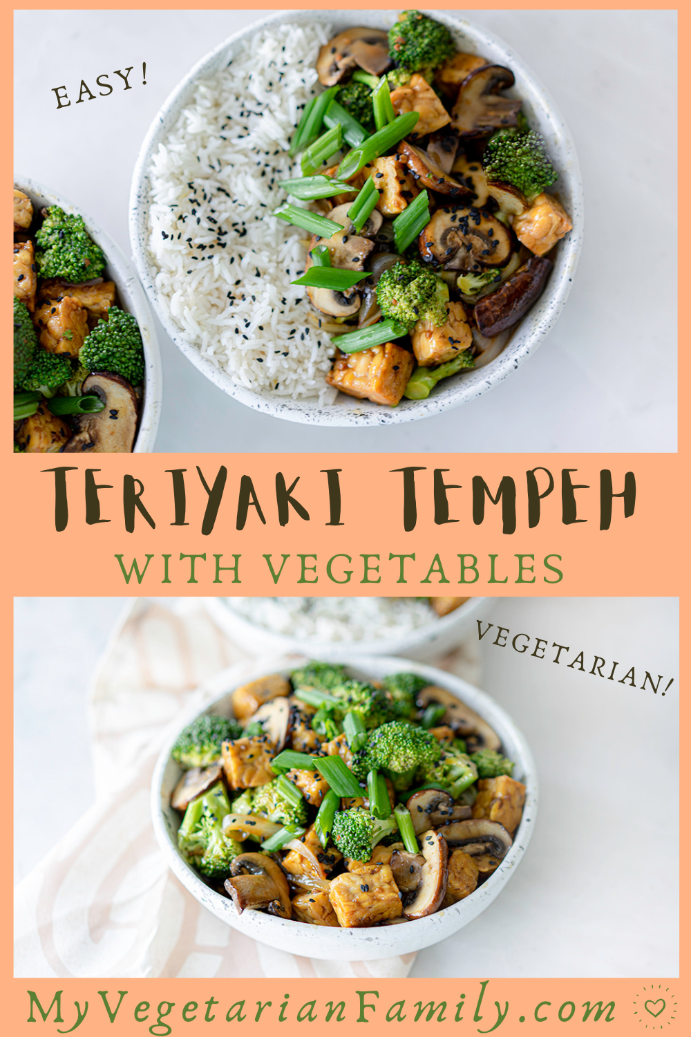Teriyaki Tempeh with Vegetables Easy Vegetarian Recipe | My Vegetarian Family #teriyakitempeh