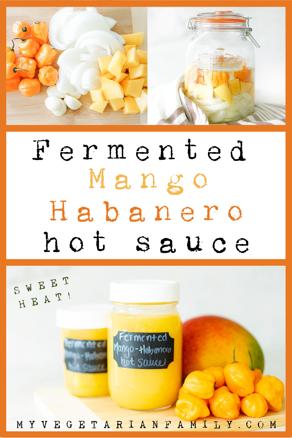 Fermented Mango Habanero Hot Sauce | My Vegetarian Family #mangohabanerohotsauce #fermentedhotsauce
