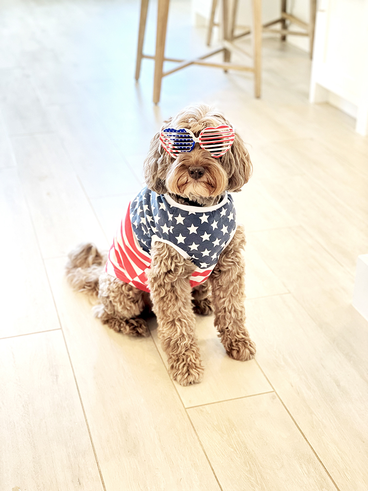 Sydney July 4th Party | My Vegetarian Family