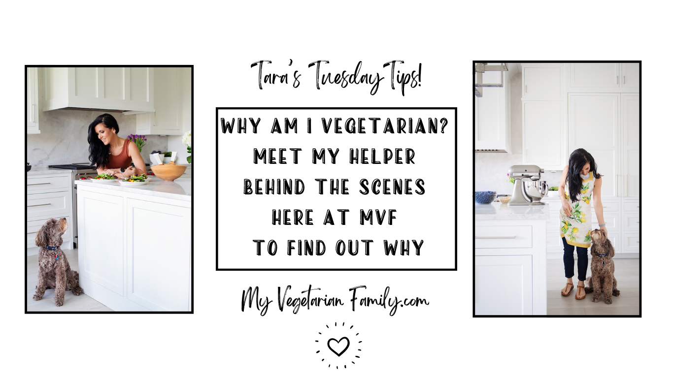 Why Am I Vegetarian?